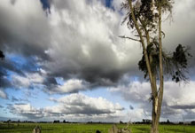 被那不勒斯双杀后!孔塞桑看明白了:21岁中场3次首发,米兰输0-5.