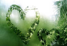 CBA技术代表辱骂杨鸣!身份曝光:上世纪结怨,被辽篮悍将扇耳光.