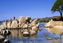 巴西最新号码:若昂-佩德罗9号、维尼修斯7号、罗德里戈10号.